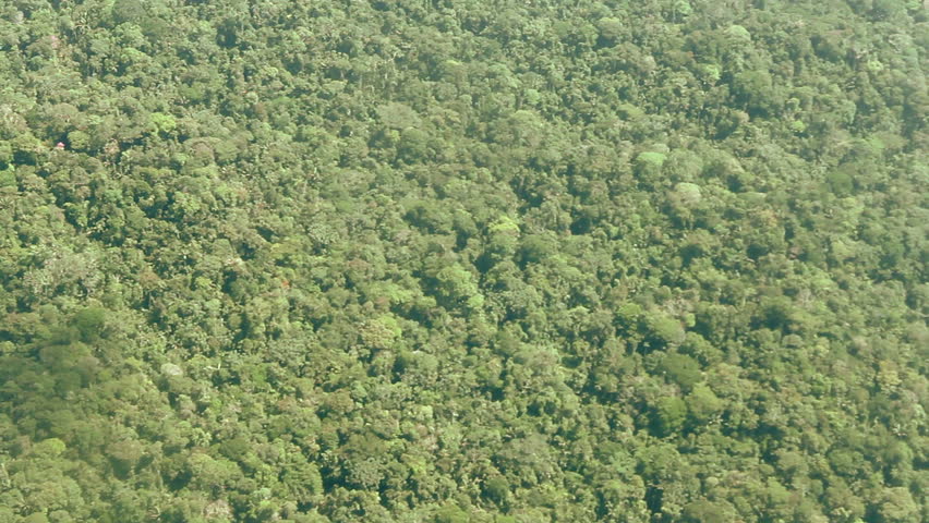 Flying over pristine rainforest in the Ecuadorian Amazon