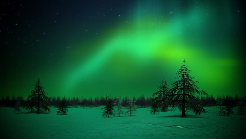 Polar lights in forest loop