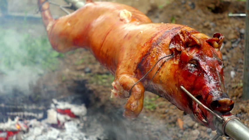 SUPER 35MM CAMERA - Pig on a spit. 
