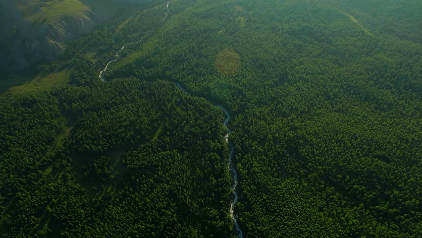 flight over forest in mountains