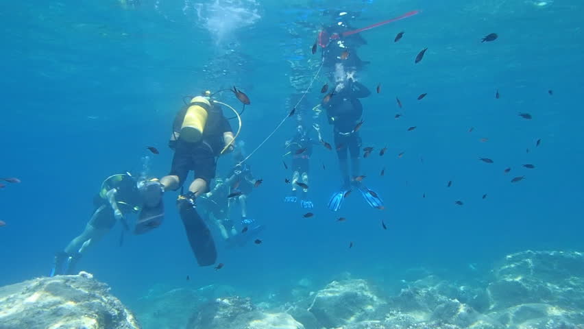 Learning to Scuba Dive