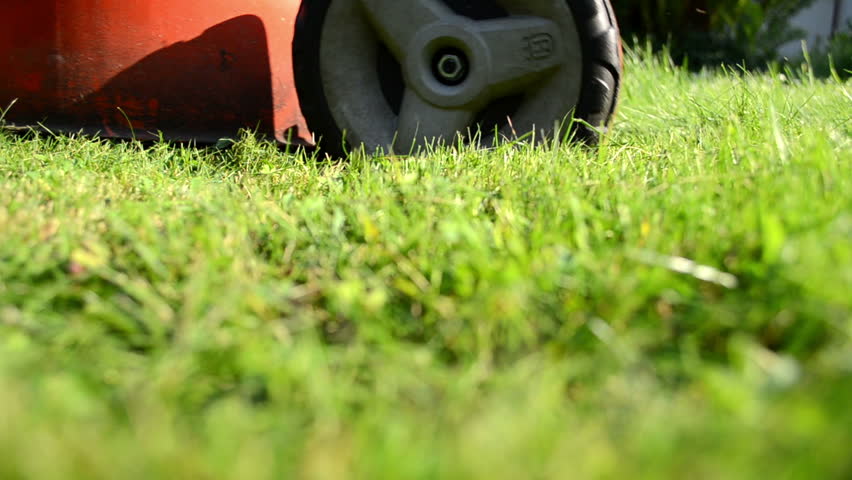 meadow grass closeup and grass lawn cutter mower worker gardener pass and shadow.