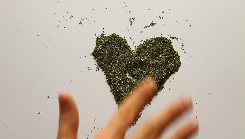 Young adult woman makes Valentines heart out of dry dill.
