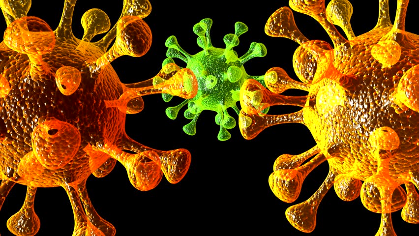 microbe