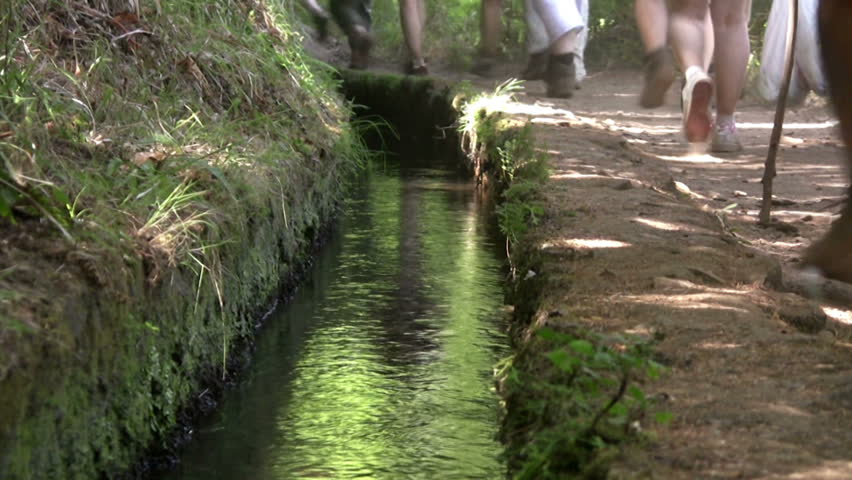 Levada
the famous Portuguese Levadas ( artificial watercourses )
Funchal ( Madeira ) September 2012