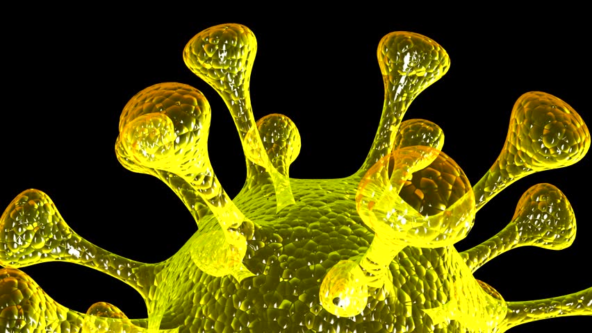 Microbe