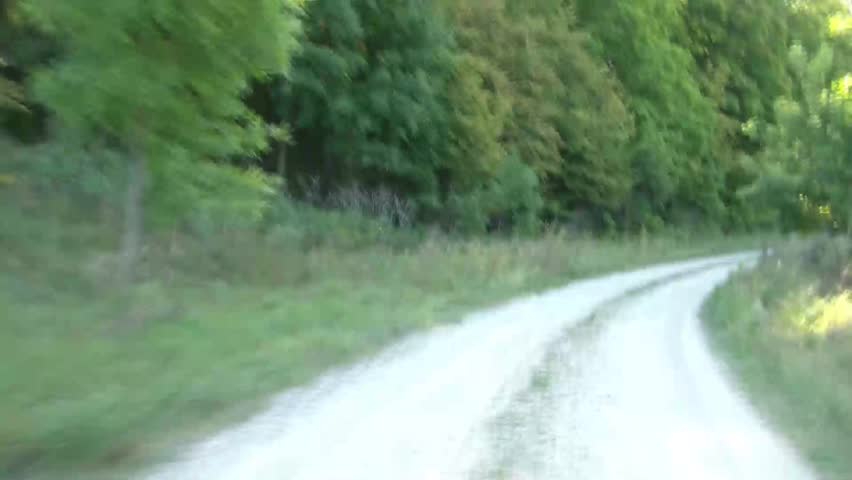 Car drives fast down a light colored dirt road and around turns during afternoon in woods.