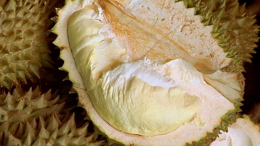 Fresh Durian (the King of Fruits) at a Durian Wholesaler in Pak Khlong Market