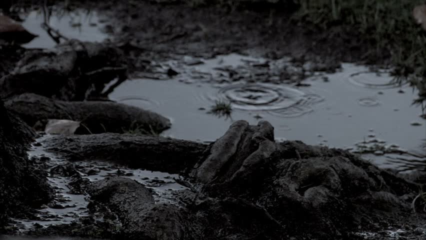 rain drops, slow motion in a puddle