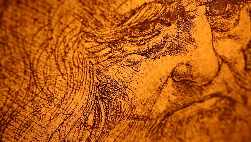 Photo of the Vitruvian Man by Leonardo Da Vinci from 1492
