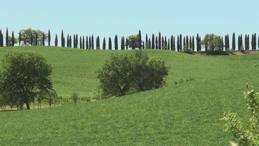 Typical landscape of the Val d'Orcia in Tuscany, Italy