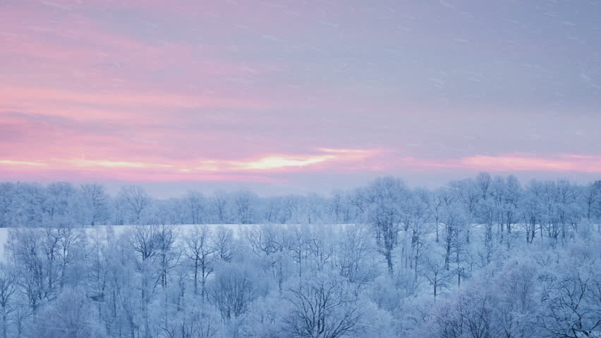 winter forest landscape and falling snow