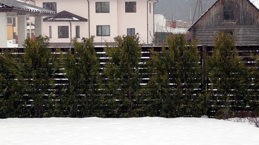 snow fall Full HD progressive video 