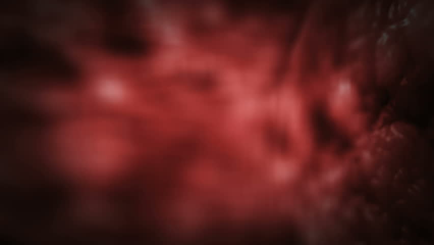 Red blood vessels