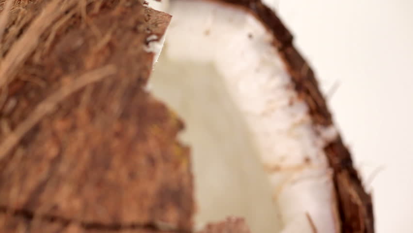 Coconut Broken close up
