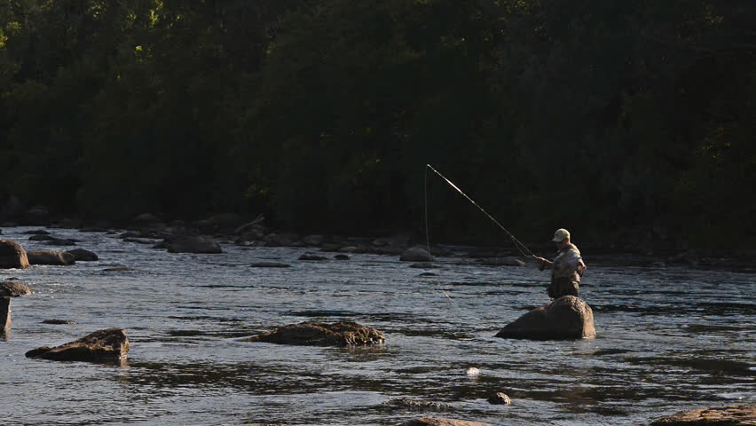 A wide shot of a man in waterproof overalls as he stands in a river and casts his lure with his rod while he spends his day fly fishing.