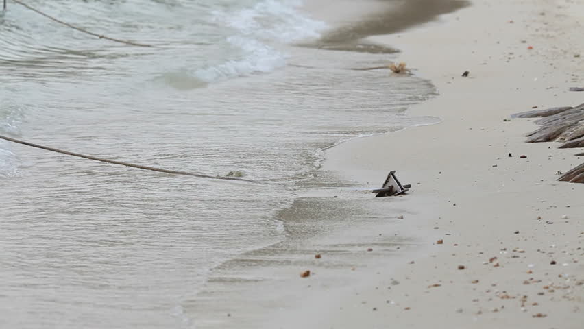 Man walks alone on beach