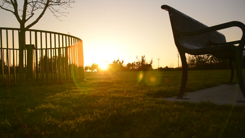 Park Sunset 01 Dolly Up