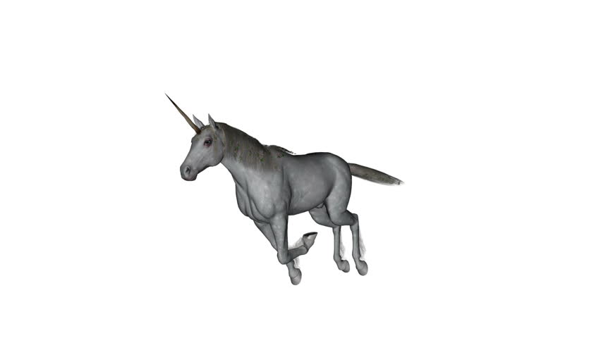 unicorn