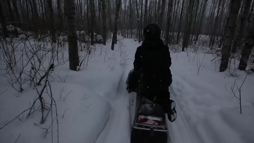 Snowmobile through Trees
