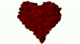 Rose Petals start falling from overhead into heart shape.  The video also has an luma channel.