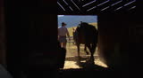 cowboy clips horse's hoof