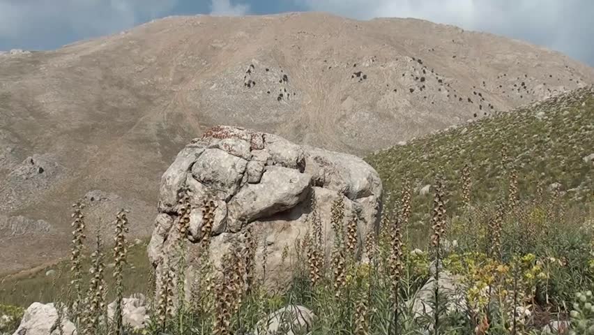 Big rock at apiary site