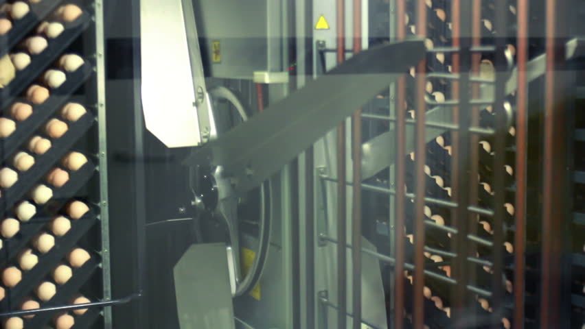 Industrial ventilation in incubation chamber