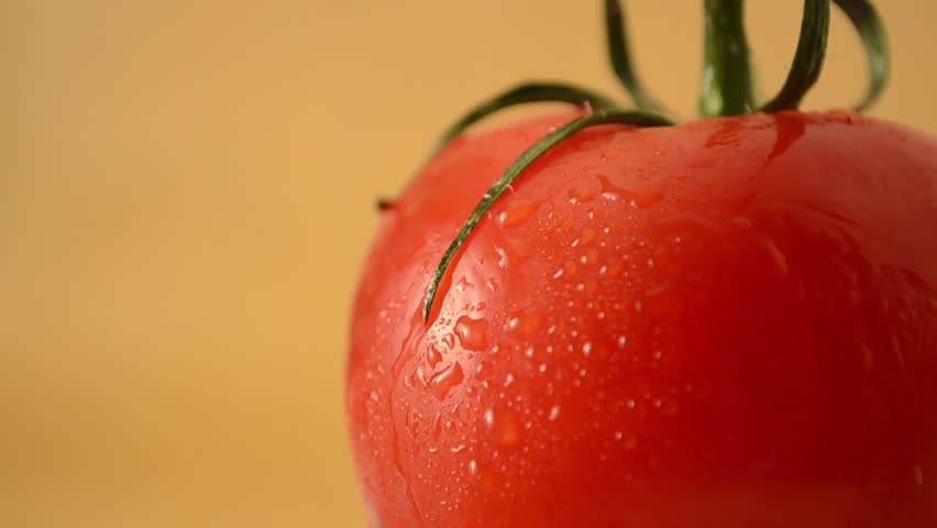 Tomato - Crane Up