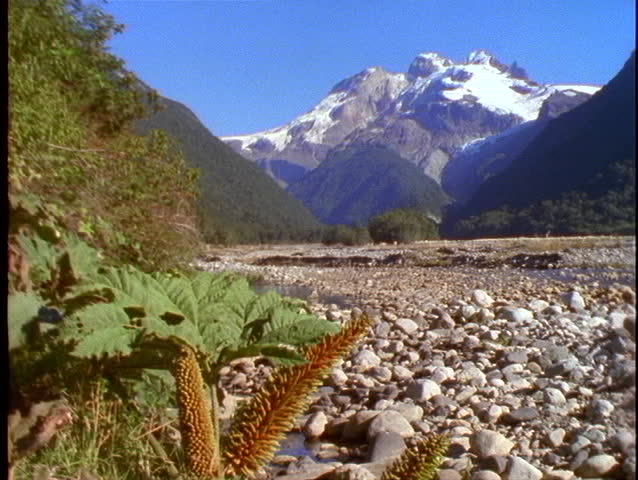 Chile, Andes, snow capped mountain with ferns in foreground and stone dry lake