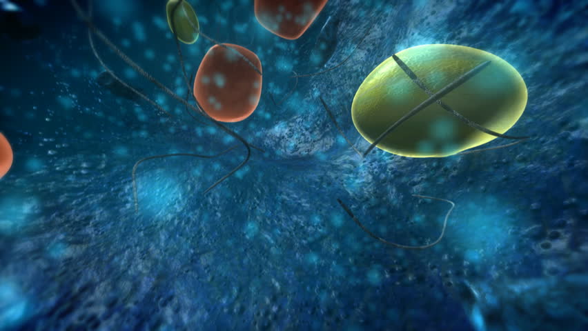 Human Cell Journey 
Stylized journey inside a human cell, starting in the nucleus and endoplasmic reticulum past a Golgi Apparatus to a Mitochondria.