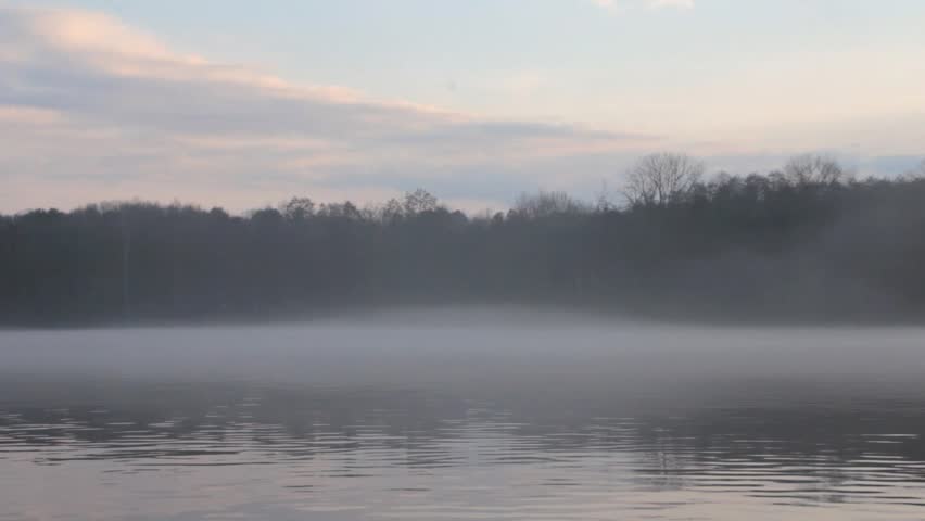 foggy landscape with river and dense forest (FULL HD)
