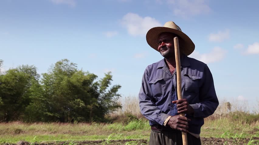 GUINES, CUBA - CIRCA APRIL 2013: Beginning of the growing season, portrait of african american peasant with hat in Cuban farm field, circa April 2013 in Guines, Cuba
