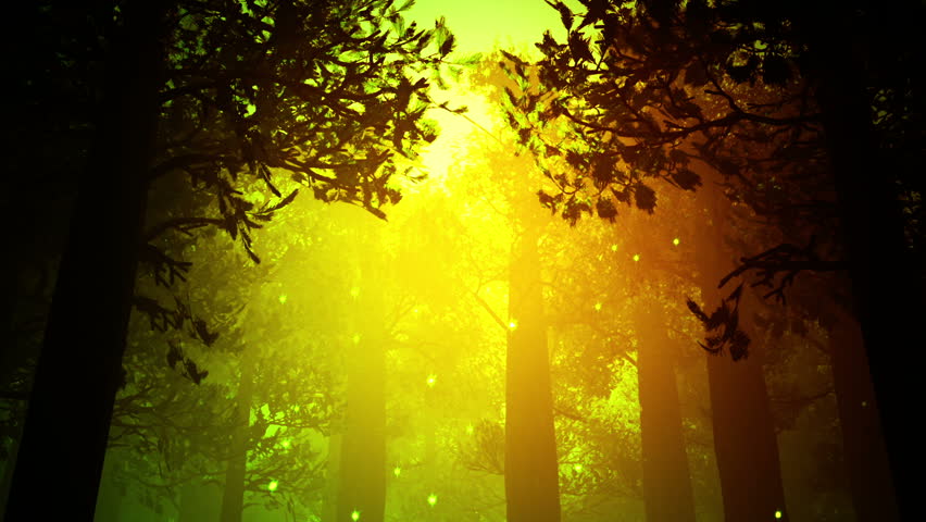 Deep Forest Fairy Tale Scene Fireflies 3D render