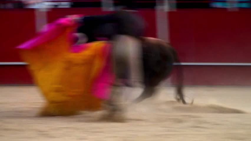 Spain bullfight, powerful black bull