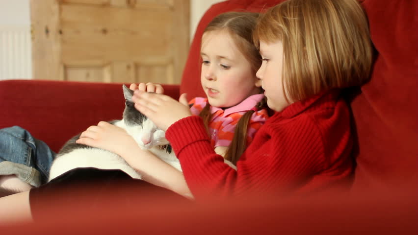 Two little girls cuddling a gorgeous cat on a sofa