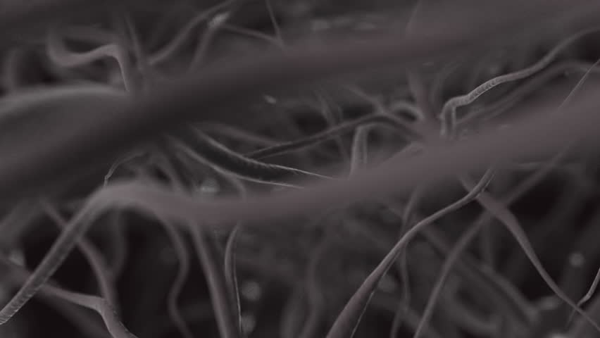 Neurons, brainstorm, seamless loop, HD1080p