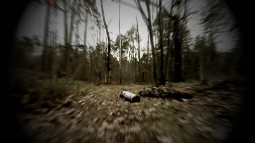 running or being chased in forest or park