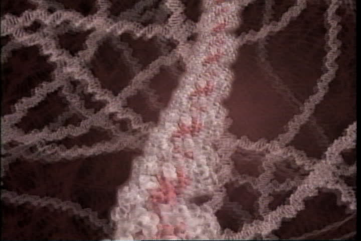 DNA roller coaster, zoom out to cytoplasm and view of nucleus.