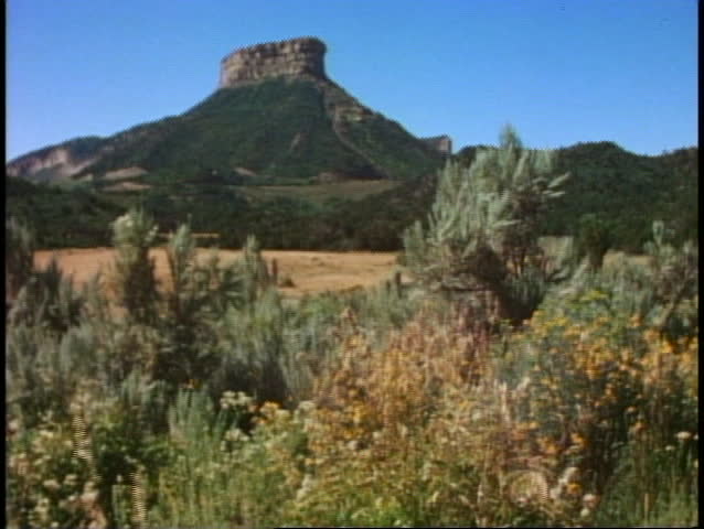 Desert mesa plateau, butte, tumbleweeds, Mesa Verde National Park, Colorado