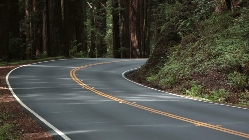 Sequoia National Park in Sierra Nevada mountains California. Established 1890. 404,063 acres. The park is famous for giant sequoia trees, including General Sherman tree, the largest tree on Earth. 