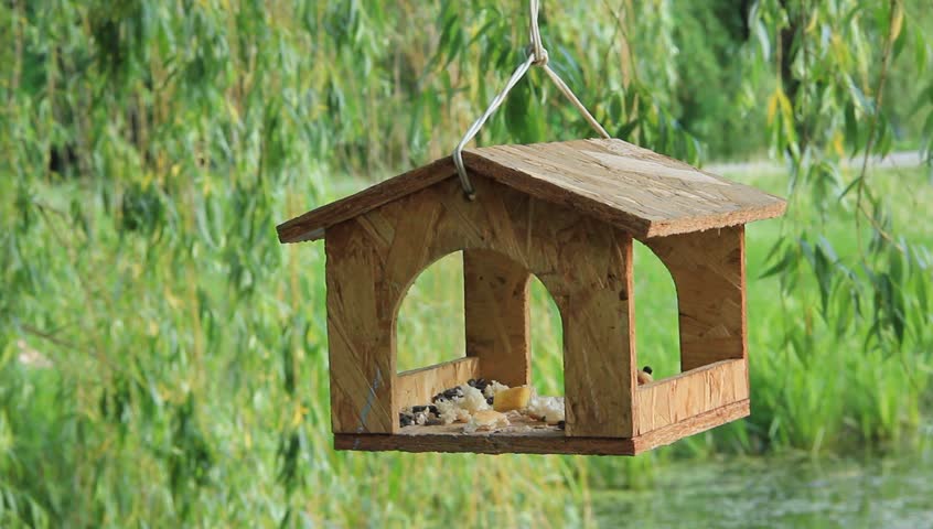 Birdfeeder