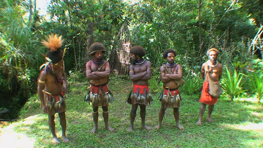 PAPUA NEW GUINEA - NOV.4: Huli wigmen tribal warriors ceremony, in the Mt. Hagen Highland area in Papua New Guinea, November 4, 2008.