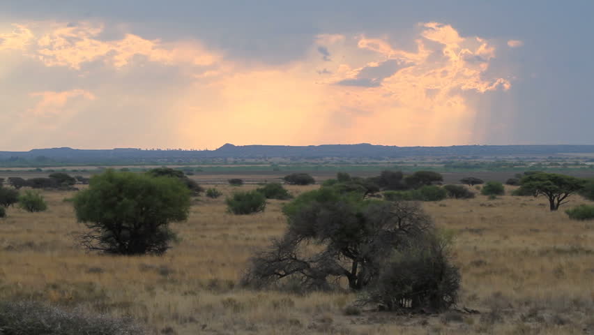 SOUTH AFRICA - CIRCA 2012 - Panorama of african savannah