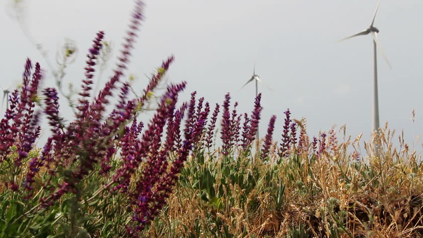 Strong wind and turbines ...