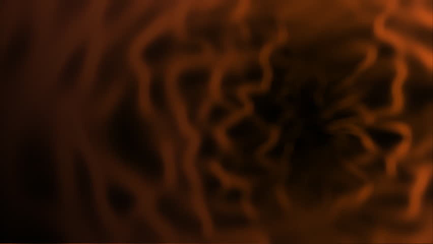 bacteria
