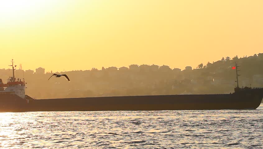 Large cargo ship sailing past the city in Istanbul, Turkey. Tanker ship cruising against sunset
