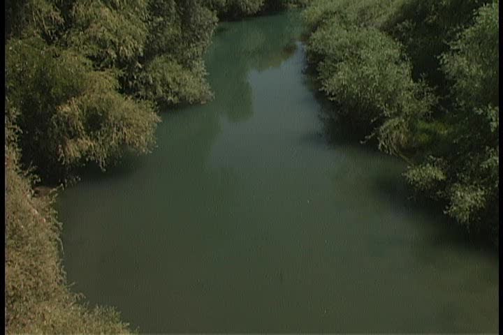 A river surrounded by trees 