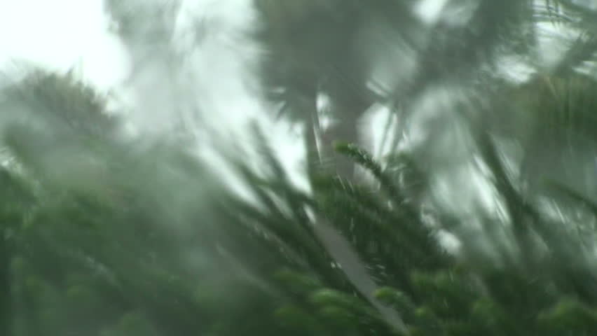 Hurricane Rains 