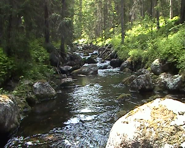  Mountain Creek